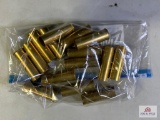[307] Brass Shotshells: 12ga