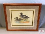 [572] Framed Wildlife Print: Teal