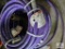 3 Graco purple 1/2 inch hoses