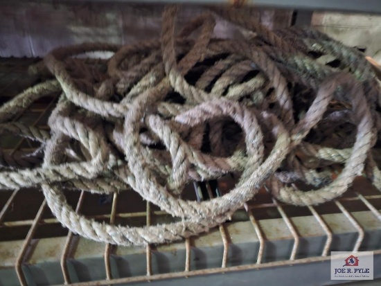 Bundle of rope