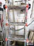 Little giant ladder
