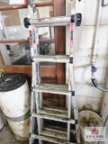 Little giant ladder