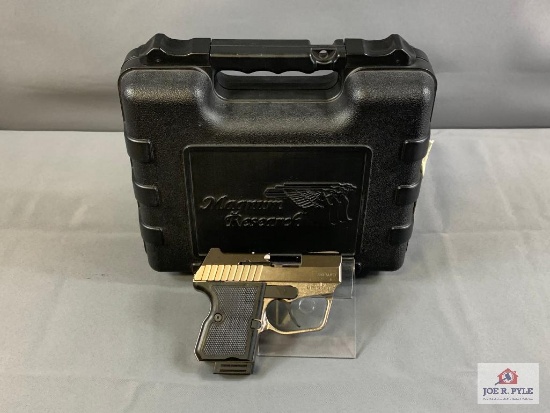 [43] Magnum Research Micro Desert Eagle .380 ACP SN: ME12801