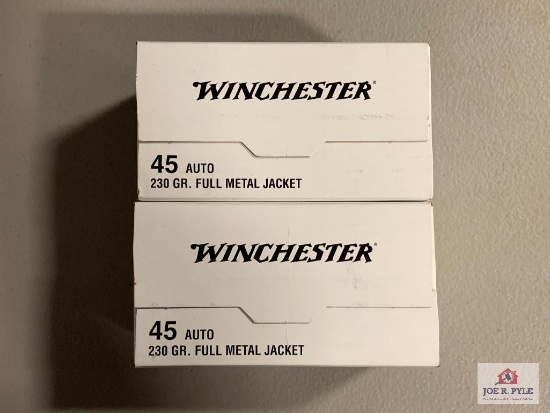 [473] Ammo Lot: .45 Auto