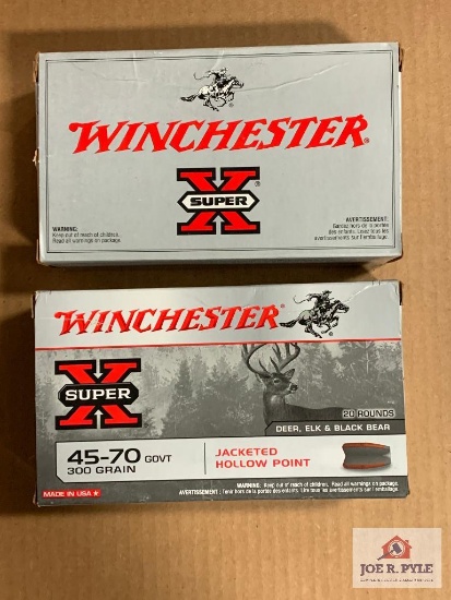 [484] Ammo Lot: .45-70 Govt