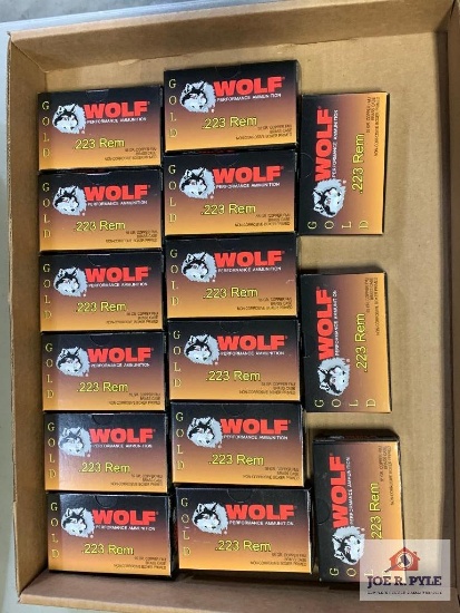 [413] Ammo Lot: .223 Rem