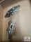 Flat of Cleats