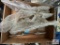 Flat of cleats