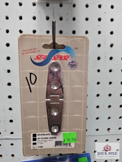 (10) Stainless Steel Hinges