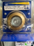 (4) Flush Overhead Lights