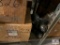 Shelf of Assortment Parts