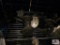 Misc. propeller