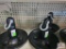 Shelf of Boat Weights