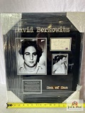 David Berkowitz 