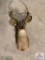 [201] Whitetail Deer Mount - 6pt