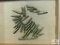 [12] Ammo Lot: .243 Win