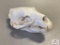 [203] Bleached Bear Skull