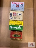 [36] Ammo Lot: 20 ga