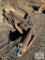 Hydraulic Claw Grapple