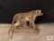 [245] Baboon Full Body Mount on Base (14)