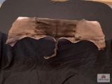[261] Black Impala Back Hide (30)