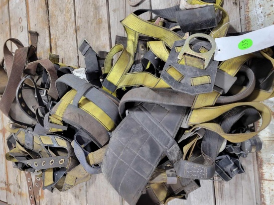 Safety harness