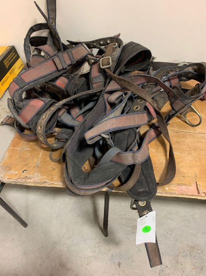 Safety harness