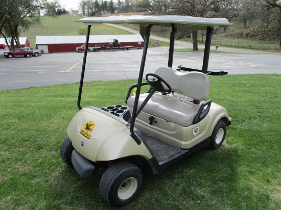 2009 Silver Yamaha Golf Cart #13