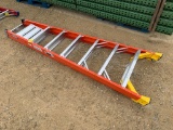 Warner Fiberglass 6' Step Ladder