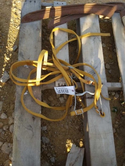 Horse Halter