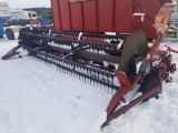 Case IH 1020 17 1/2'  Flex  Bean Head