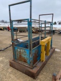 Cattle Platform Scale