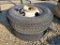 Cooper LT235/85R16 Tires