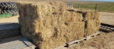 SMALL SQUARE BALES GRASS HAY - 1ST CUTTING