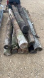 WOOD FENCE POSTS