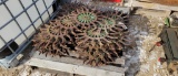 PALLET OF ROTARY HOE WHEELS