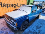 1988 Chevy S10 Pick Up Truck