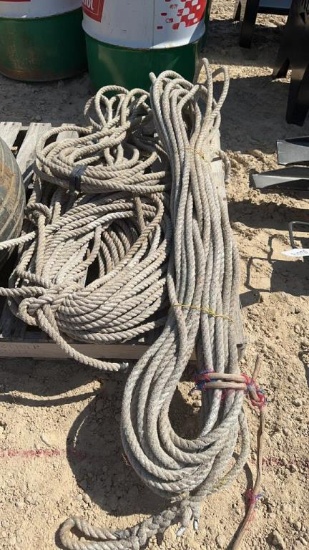 (3) BUNDLES OF ROPE