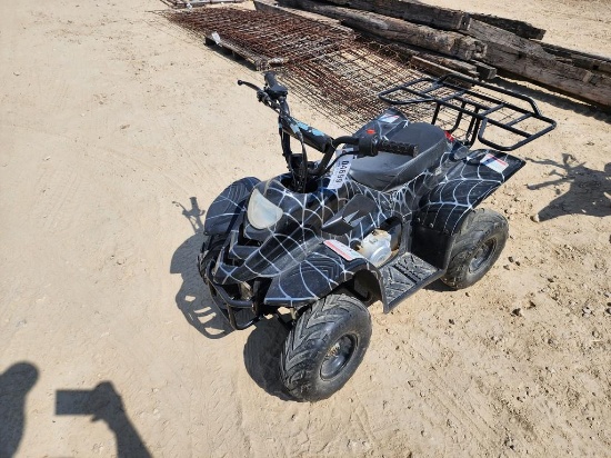 LITTLE YOUTH 110 ATV