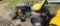 CUB CADET LAWN MOWER WITH BLADE - DOESN'T RUN