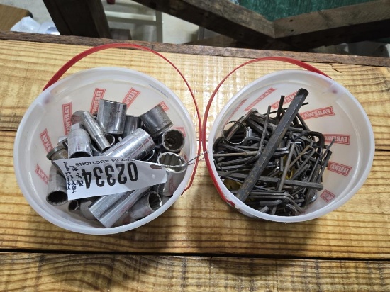 GROUP OF 1/2" & 3/8" DRIVE SOCKETS & ALLEN WRENCHS