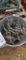 BUCKET OF ANTIQUE RAILING TOP
