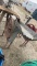 NEW IDEA CORN SHELLER