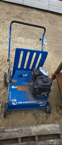 BLUEBIRD POWER RAKE