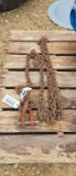 LOG CHAIN 14' WITH CLEVIS