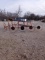 3 pt hay rake