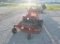 Toro 52