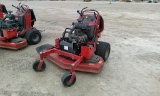 Toro 52
