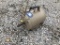 Baldor 10-14 DP HP Electric Motor