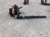 ECHO Back Pack Blower